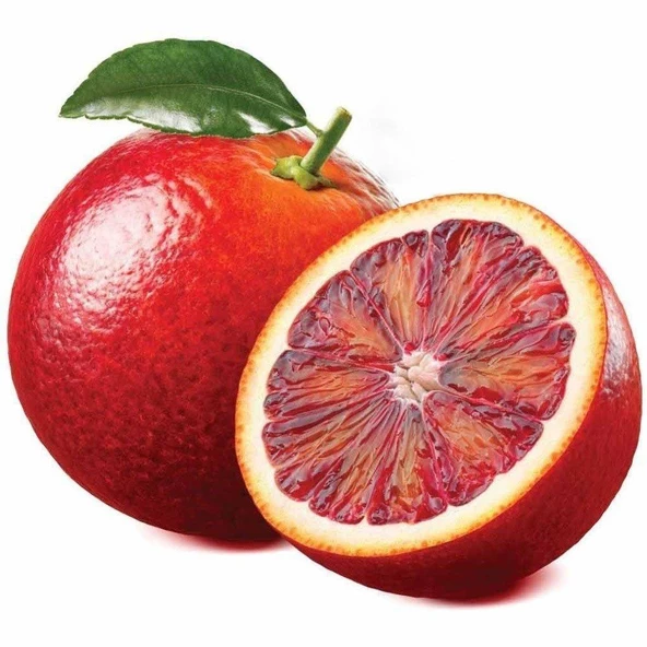 Tüplü İçi Dışı Kırmızı Riored Greyfurt Altıntop Fidanı - 1