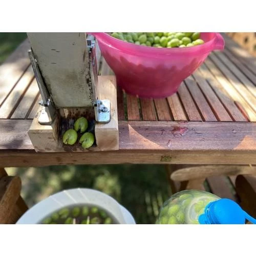 Kadıoğlu C2 Zeytin Kırma Aleti - 3