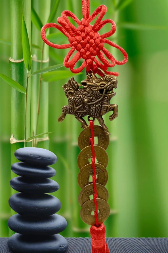 Çin Feng Shui Şans ve Bereket Beşli Para Dragon 35 cm - Resim 9