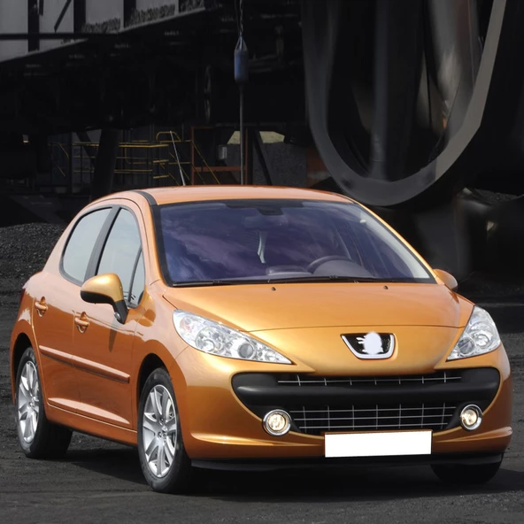 Peugeot 207 2006-2014 Cam Suyu Deposunun Kapağı Fiskiye Kapak - 2