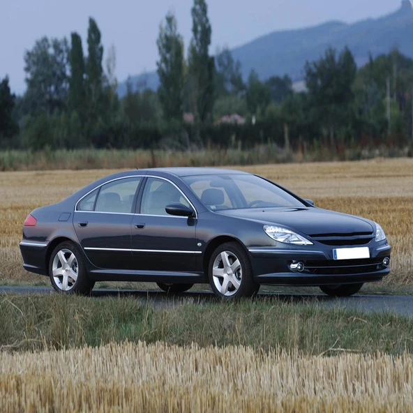 Peugeot 607 2000-2009 Cam Suyu Deposunun Kapağı Fiskiye Kapak - 2