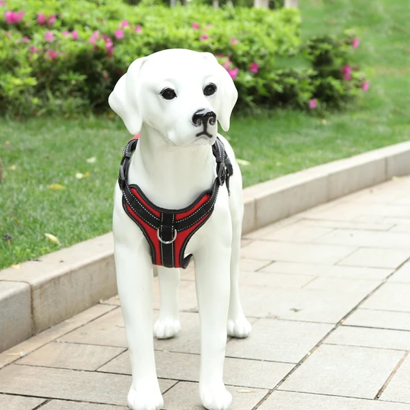 SLL301 S Köpek Göğüs Tasması Yumuşak dokulu Boyun : 32-42 cm Göğüs: 40-48 cm - 4