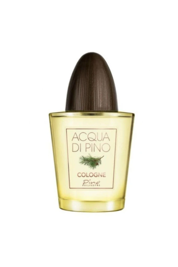 PINO SILVESTRE ACQUA DI PINO EDC CONCENTRÉE 125 ML