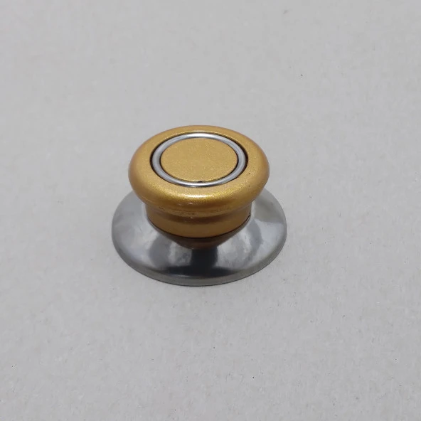 TEPE LÜX RENKLİ ALTIN SARISI GOLD - 2