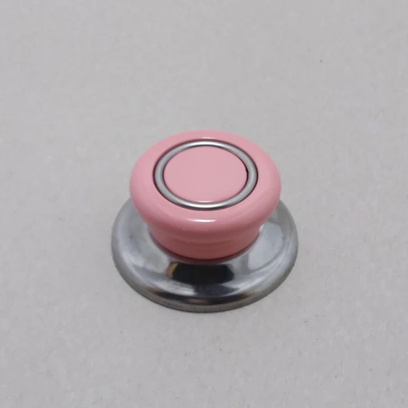 TEPE LÜX RENKLİ GÜL KURUSU-PEMBE