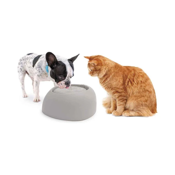 İmac Pet Fountaın Kedi Ve Köpekler İçin Filtreli Otomatik Su kabı 2 Lt Gri