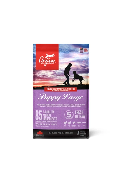 Orijen Yavru Köpek Maması Puppy Large Breed 11,4 Kg
