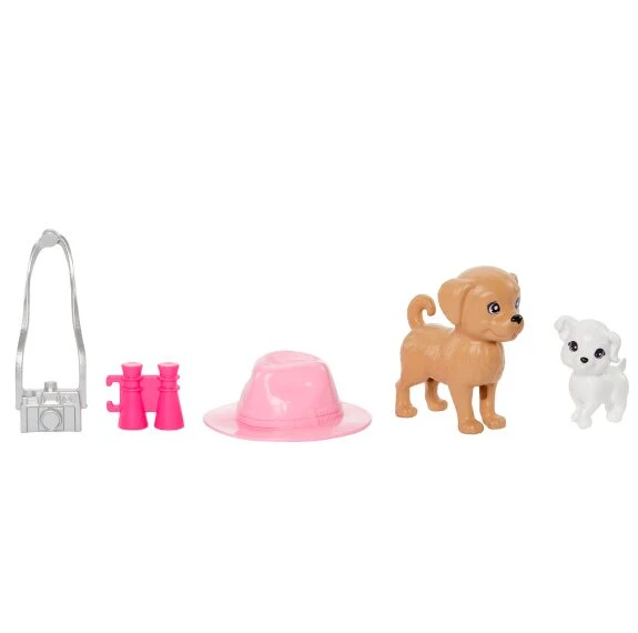 Barbie ve Stacie Kız Kardeşler HRM09 Lisanslı Ürün - Resim 3