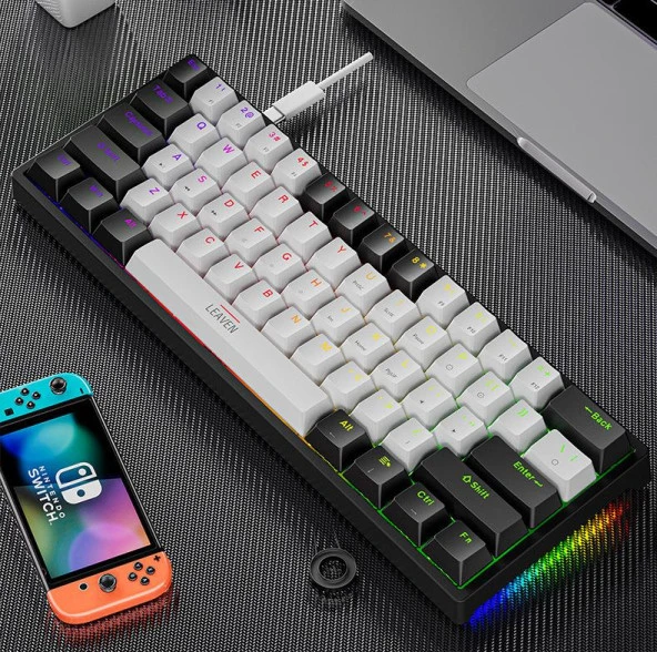 Valkyrie Leaven K620 Blue Switch Mekanik Gaming Oyun Klavyesi RGB 61 Key Mavi Tuş Type-C Klavye Siyah Beyaz k620 - 3