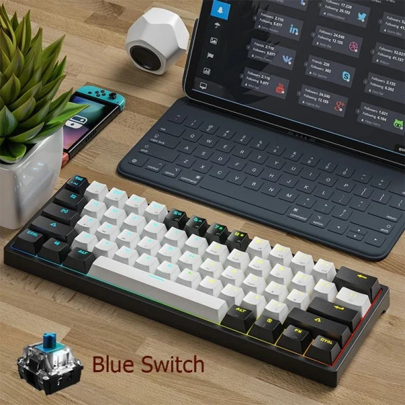 Valkyrie Leaven K620 Blue Switch Mekanik Gaming Oyun Klavyesi RGB 61 Key Mavi Tuş Type-C Klavye Siyah Beyaz k620 - 5