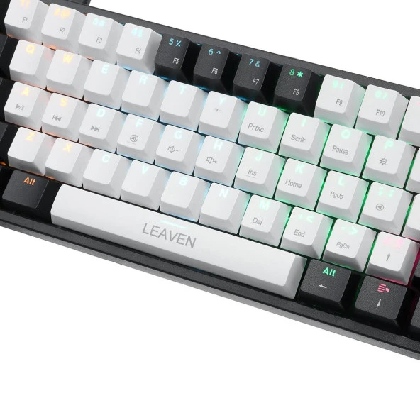 Valkyrie Leaven K620 Blue Switch Mekanik Gaming Oyun Klavyesi RGB 61 Key Mavi Tuş Type-C Klavye Siyah Beyaz k620 - 6