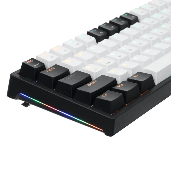 Valkyrie Leaven K620 Blue Switch Mekanik Gaming Oyun Klavyesi RGB 61 Key Mavi Tuş Type-C Klavye Siyah Beyaz k620 - 8