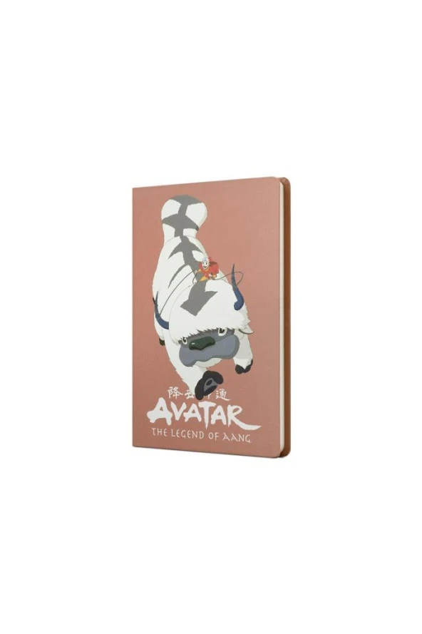 Mabbels Sert Kapak Butik Defter Avatar Appa ve Aang Puce Rengi 80 YP 15x21 DFT-388210