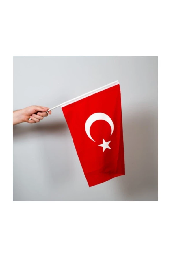 Türk bayrağı 30x45 cm Alpaka Kumaş - Sopalı-10 adet