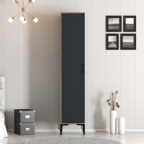 Variant Mobilya Kumsal 1 Kapılı (S) Gardrop - Lidya / Antrasit