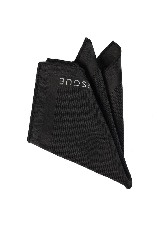 Esgue Hand Made Siyah Kravat Mendil Taşlı Gümüş Rengi Aslan Broş Hediye Seti - 4