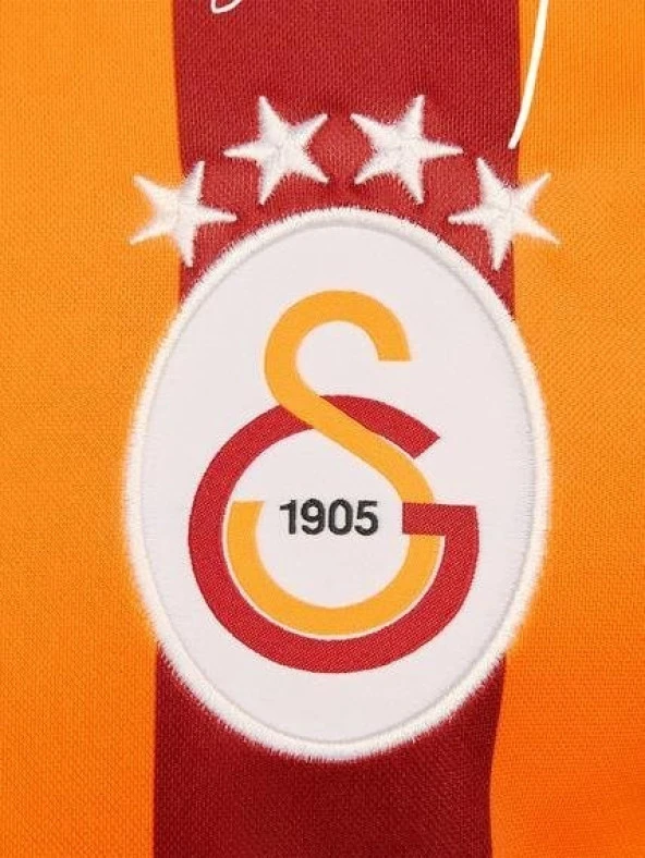Galatasaray Orijinal Lisanslı 100. Yıl Forma Gs Aslan Baskılı Hediyelik Ahşap Kutulu - 5