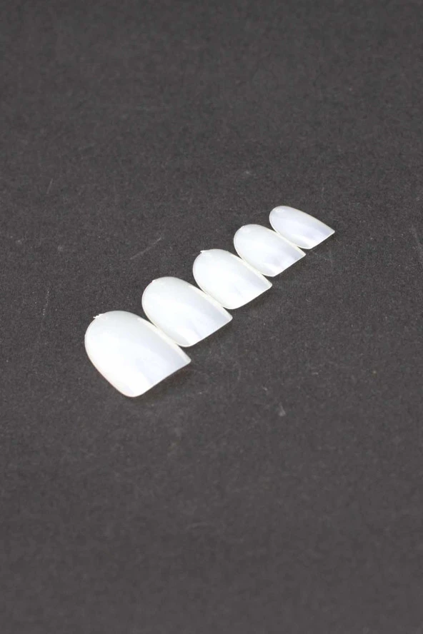 Prodiva 100'lü Kutulu Takma Tırnak - Nail Tips 58 No - 3