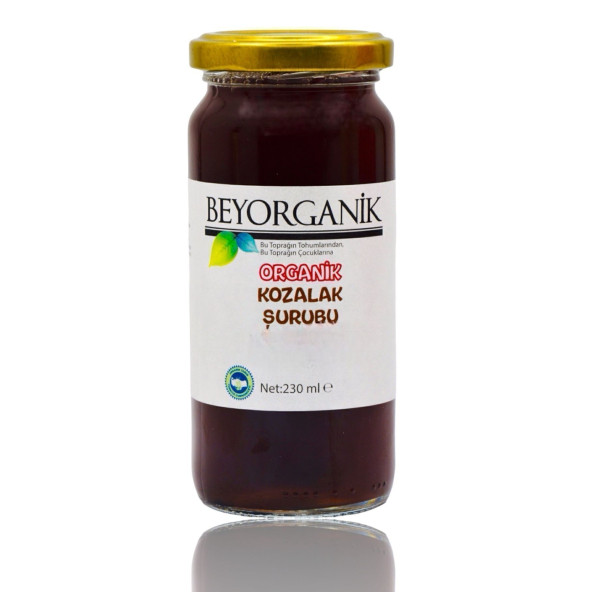 BEYORGANİK Organik Çam Kozalak Şurubu 230gr
