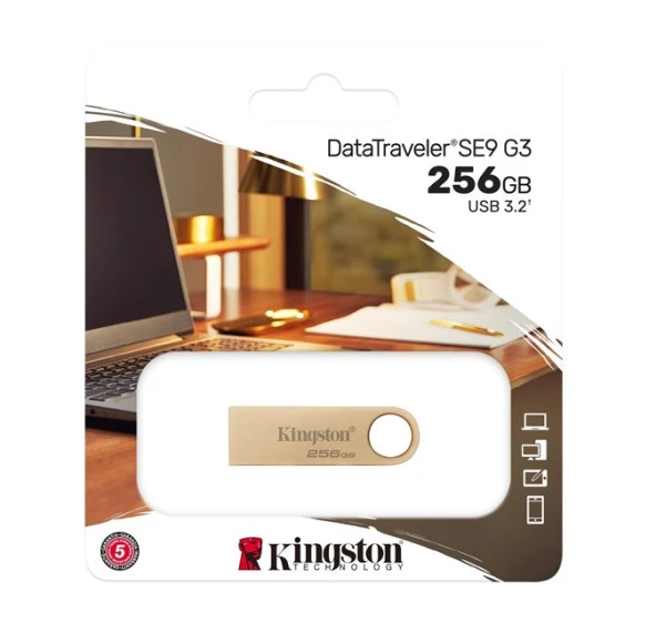 KINGSTON 256G DataTraveler DTSE9G3/256GB