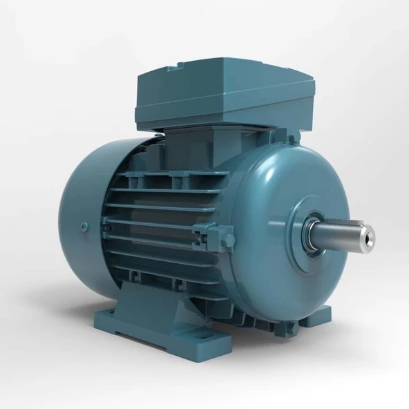Volt 3 kw (4 HP) 3000 D/D (VSSA 100 L4B-B3) 220 230 volt Monofaze B3 - Ayaklı Standart