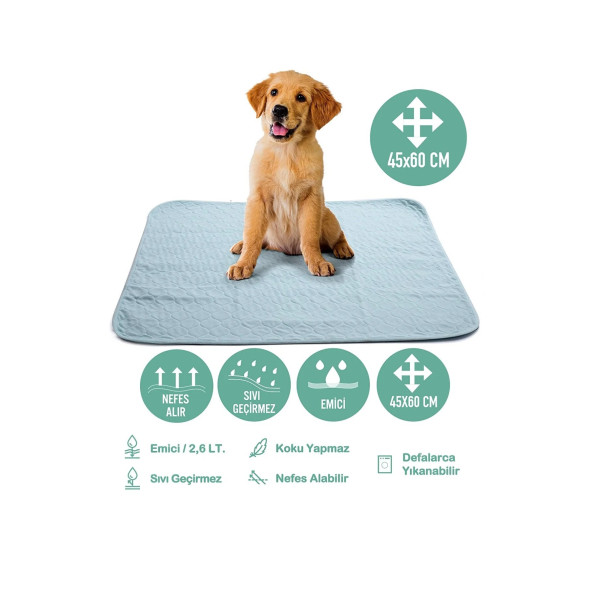 Abso Yıkanabilir Emici Tuvalet Eğitim Köpek Pedi ( 45x60 cm )