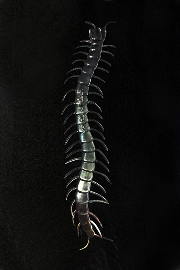 Şeffaf Renk Karanlıkta Parlayan Fosforlu Kırkayak 13 cm 1 Adet - 2