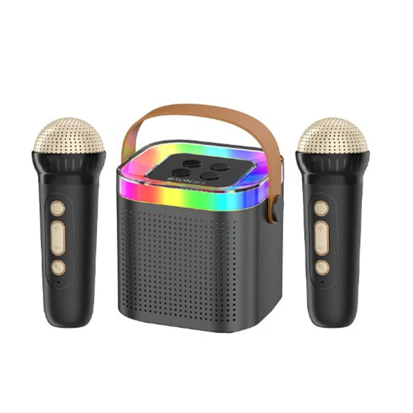 BAVIN BM-13 Karaoke Box Kablosuz Hoparlör - Speaker