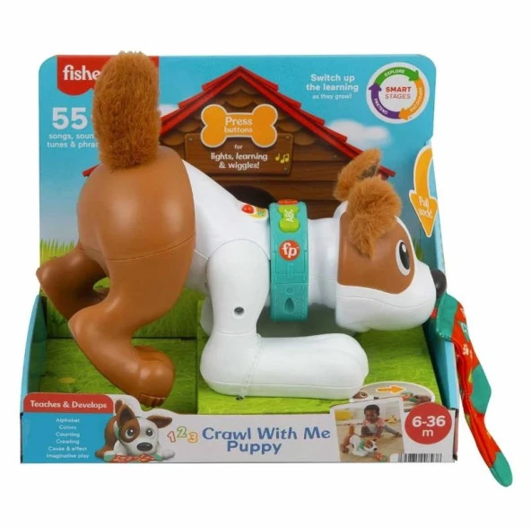 Fisher Price, Emeklemeyi ve Saymayı Öğreten Köpekçik HCF29 - İngilizce