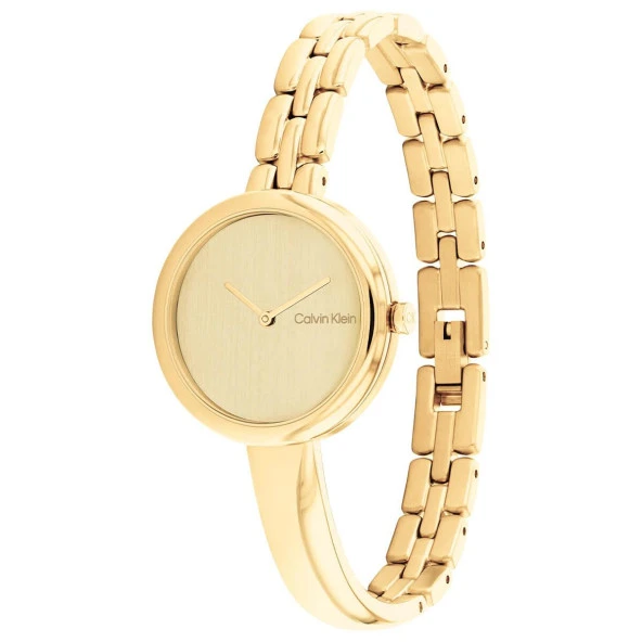 Calvin Klein CK25200279 Kadın Kol Saati - 2