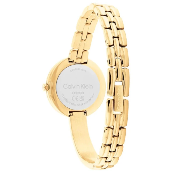 Calvin Klein CK25200279 Kadın Kol Saati - 3