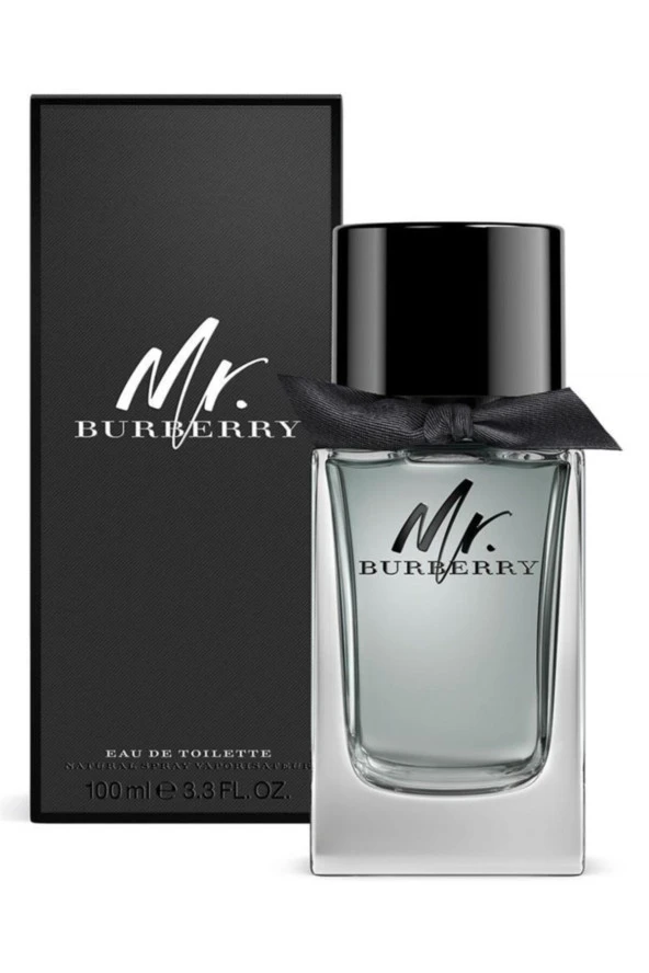 BURBERRY Mr Edt 100 ml Erkek Parfümü