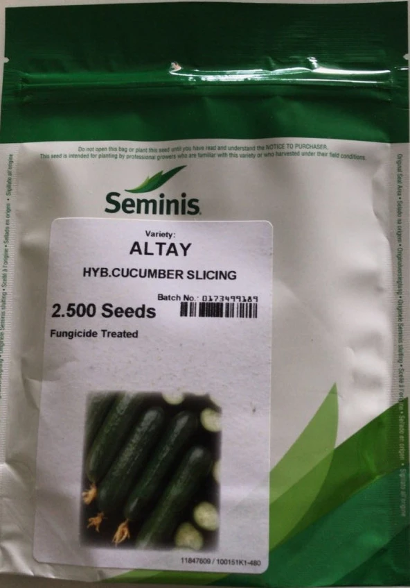 Seminis Hıyar Salatalık Tohumu Altay F1 - 2500 Adet Tohumluk