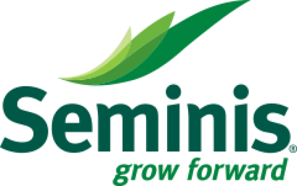 Seminis Hıyar Salatalık Tohumu Altay F1 - 2500 Adet Tohumluk - 3