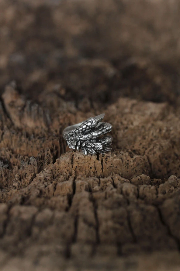 Ayarlanabilir Ejderha Pençesi Tasarımlı Erkek Yüzük - TJ-EY397 - Resim 2