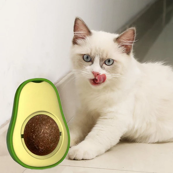 Avokado Dönen Kedi Nanesi Cat Oyun Topu Doğal Kedi Oyuncağı - 3