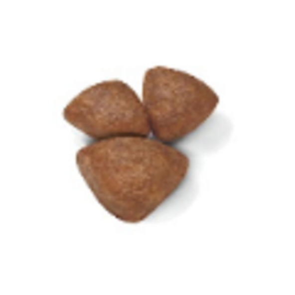 Royal Canin Mini Starter Mother & Babydog Kuru Köpek Maması 4 kg - 5