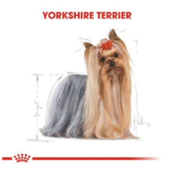 Royal Canin Yorkshire Terrier Yetişkin ve Yaşlılar İçin Kuru Köpek Maması 1,5 kg - 4