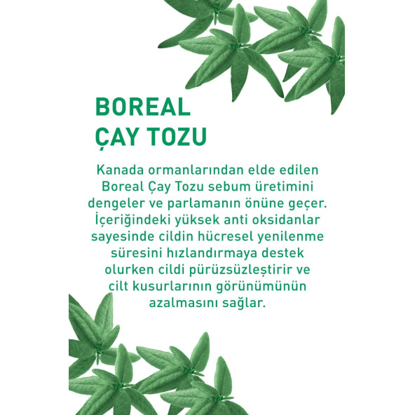 YVES ROCHER Karma ve Yağlı Ciltler için Sebo Pure Vegetal Antioksidan Yağ Dengeleyici Serum - 4