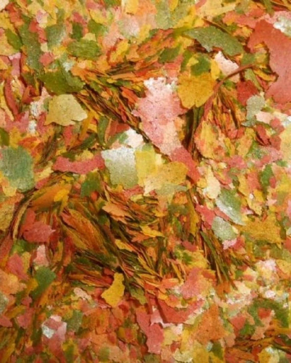 Ahm Tropical Mix Flake 100gr Kilitli Poşette  Gönderilir skt:04/2028 ürün görseli 1