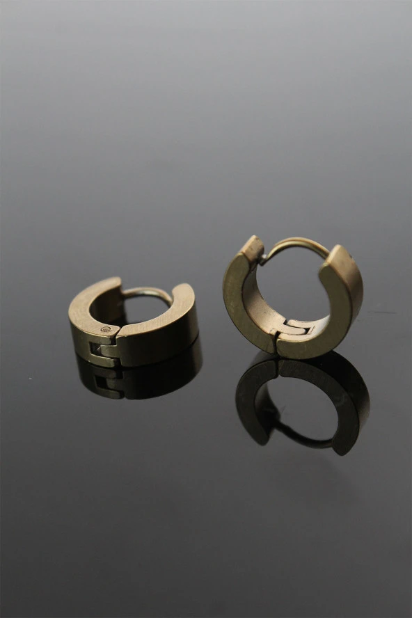 316L Çelik Gold Renk Halka Model Çift Küpe - TJ-EKP252 ürün görseli