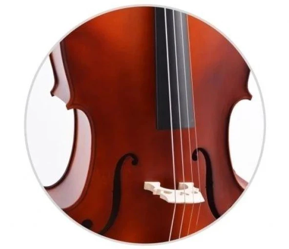 Çello (Viyolonsel) Gül 1/4 DCR14NM - Resim 4