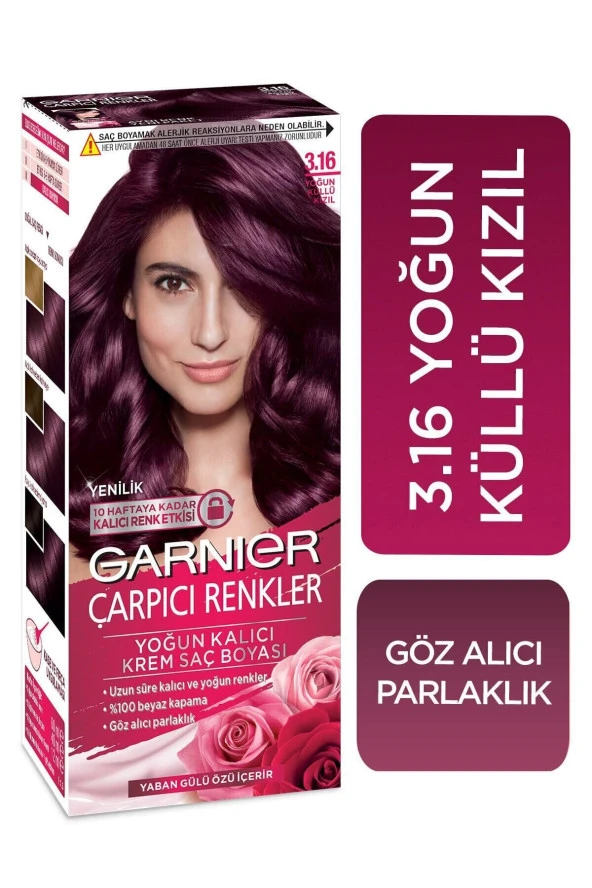 Garnier Çarpıcı Renkler 3.16 Yoğun Küllü Kızıl