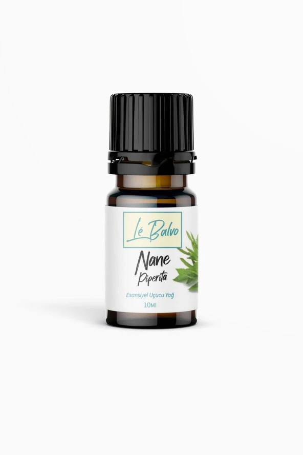 LE BALVO Nane Piperita Doğal Uçucu Yağ Saf Buhurdanlık Esansı Konsantre Oda Kokusu Esans Buhur Yağı 10ml