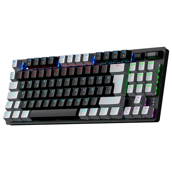GamePower Eva 5 60M Mekanik Red Switch Türkçe Q 88 Tuş USB Gaming Klavye - 3 Yıl Garantili - 3