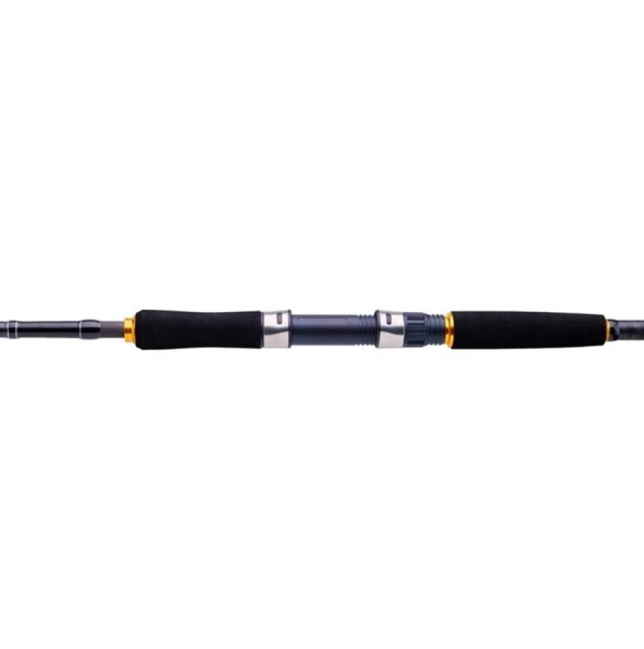 Daiwa New Legalis Seabass 210cm 14-42 2 Parça Olta Kamışı - 6