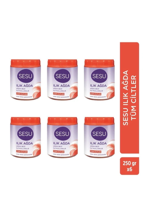 Sesu Ilık El Ağda Tüm Ciltler 250gr 6 Adet