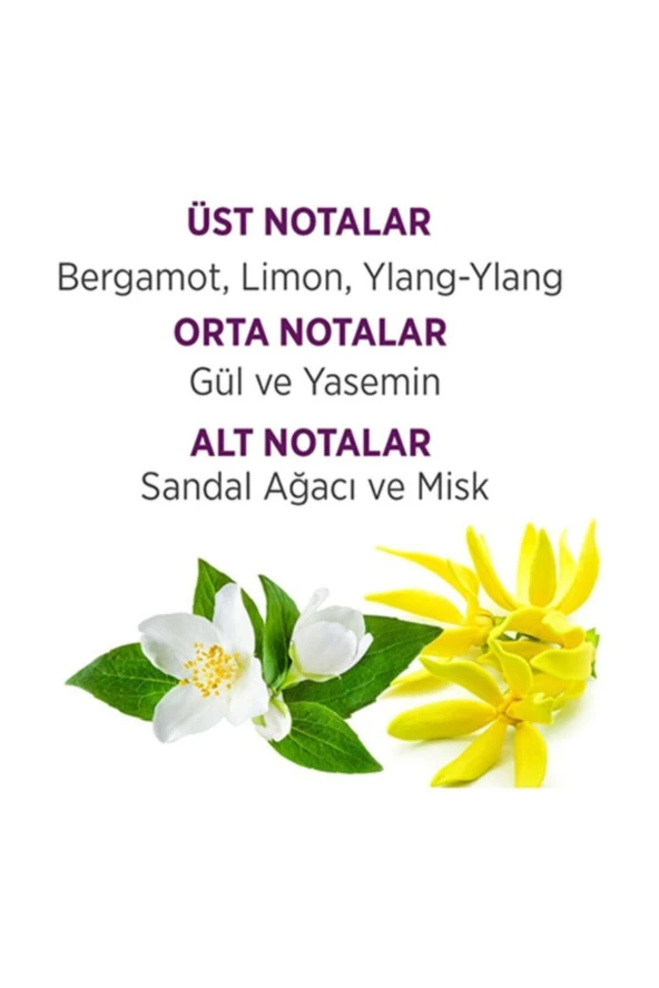 Bellisima Edt Parfüm 60ml + Deodorant 150 ml Seti - 3