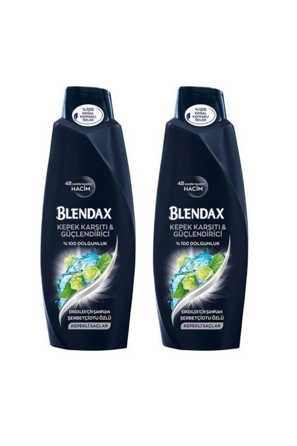 Blendax Şampuan Men Kepeğe Karşı Doğal Kil Özlü 500Ml x 2 Adet
