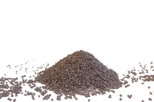 OSM Kaplamalı Kayseri Yonca Tohumu (5 Kg) - 2